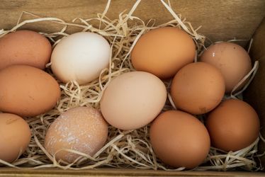 Fresh Farm Eggs