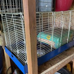 Guinea Pig Cage