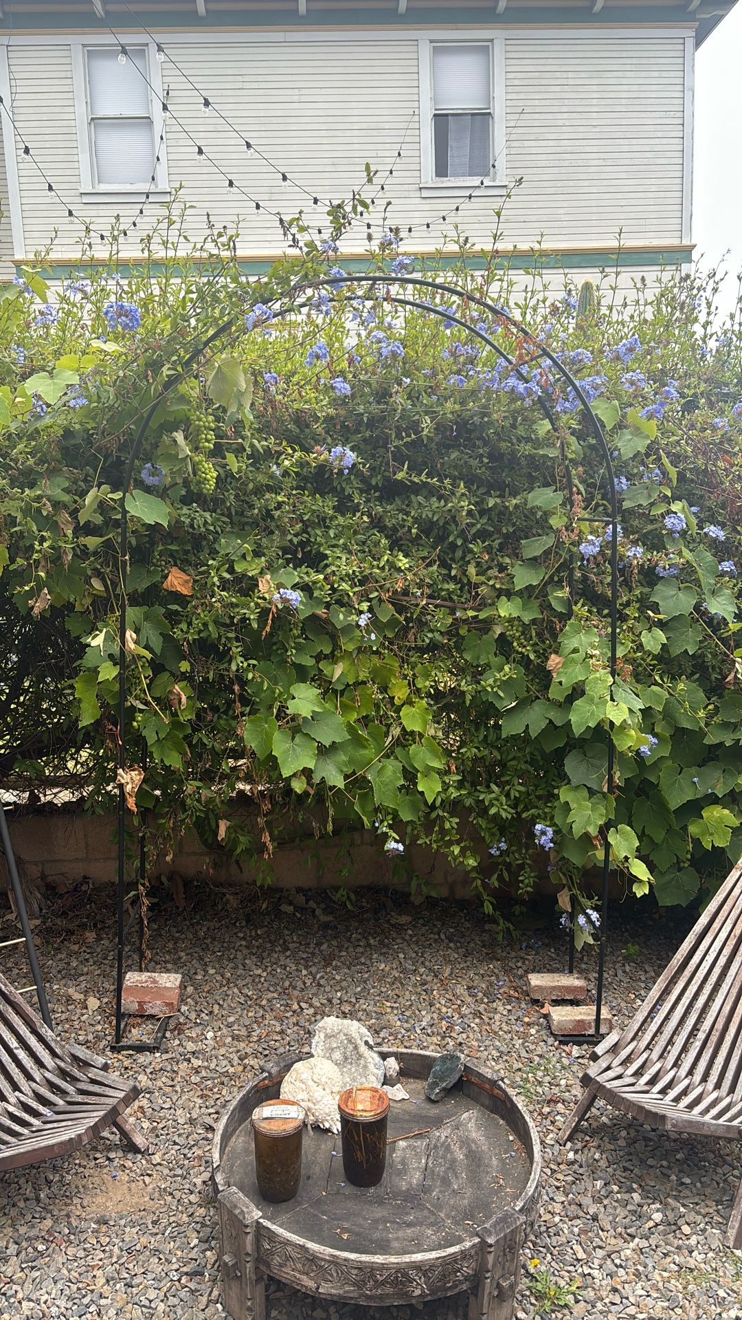 Garden Arch -