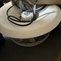 Vortex Ceiling Fan For Grow Up