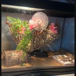 10 Gallon Reptile tank 