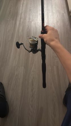 Darwin Laguna 4000 Lt With Pen Allegiance 7 Foot Extra Fast, Action Rod, Medium Light