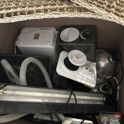 Free Box Of Reptile Items