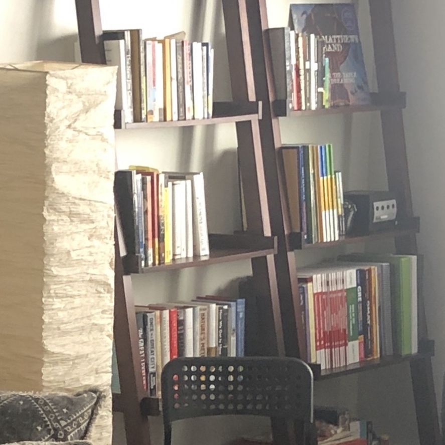 West Elm Book Shelves