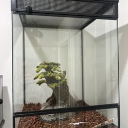 18x18x24 Reptile Tank Enclosure