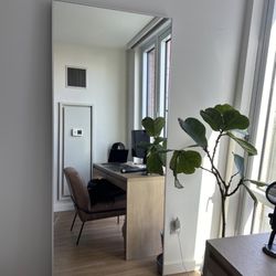 Big Beautiful Mirror