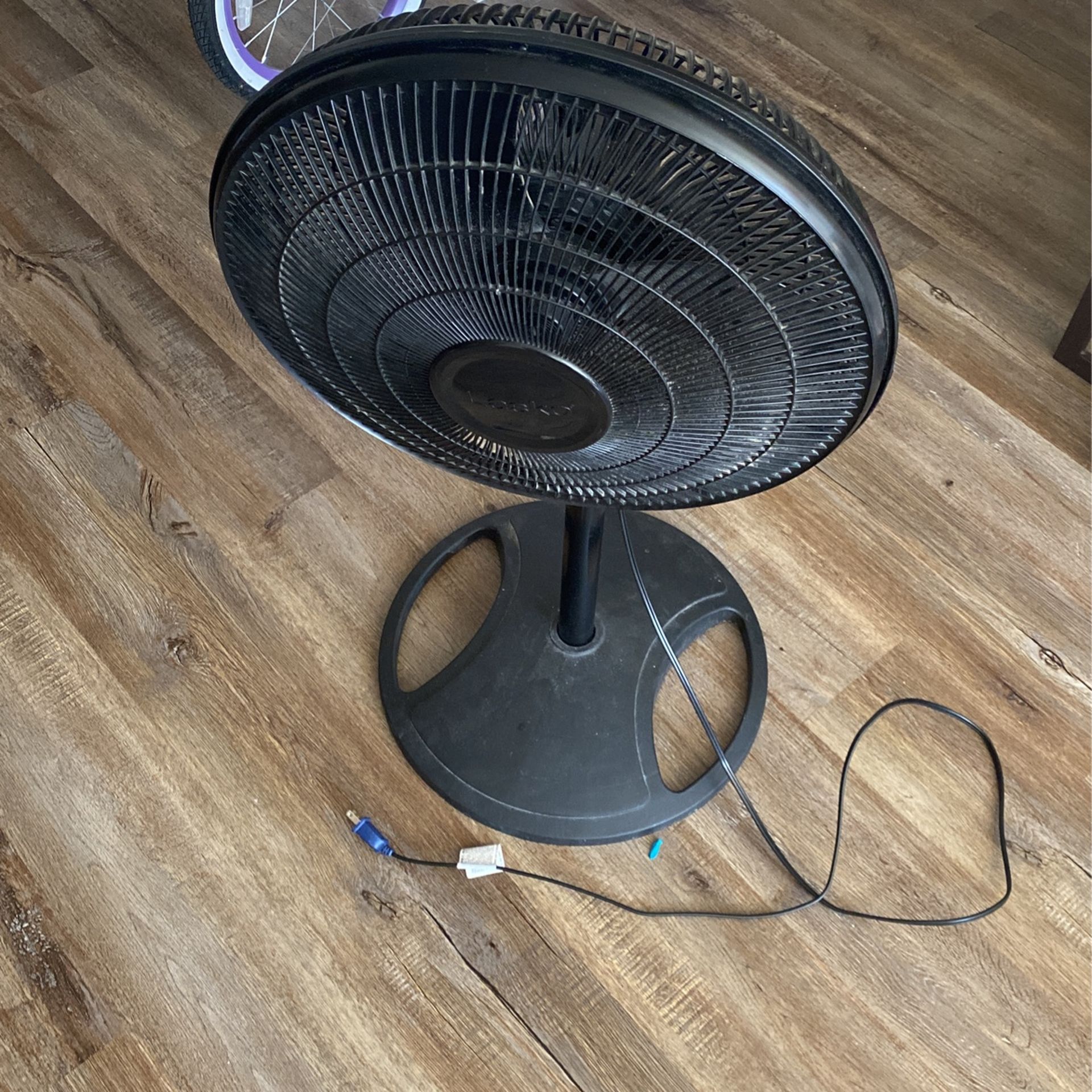 Fan