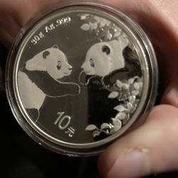 Silver Panda 30 Grams 