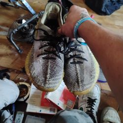 Yeezys Size 10   70 Obo