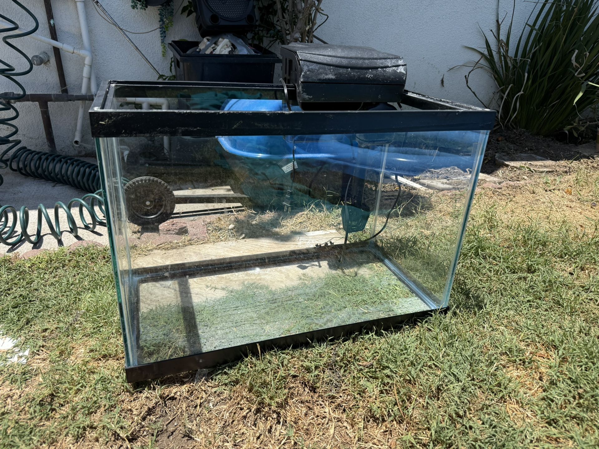Glass Fish tank