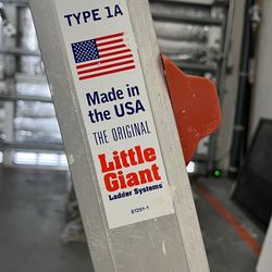 LITTLE GIANT LADDER with accessories