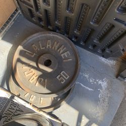 Long 45lb olympic bar, and a pair of 50lb Jack Lalanne Olympic Weight Plates