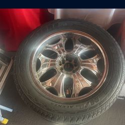 Large Rims