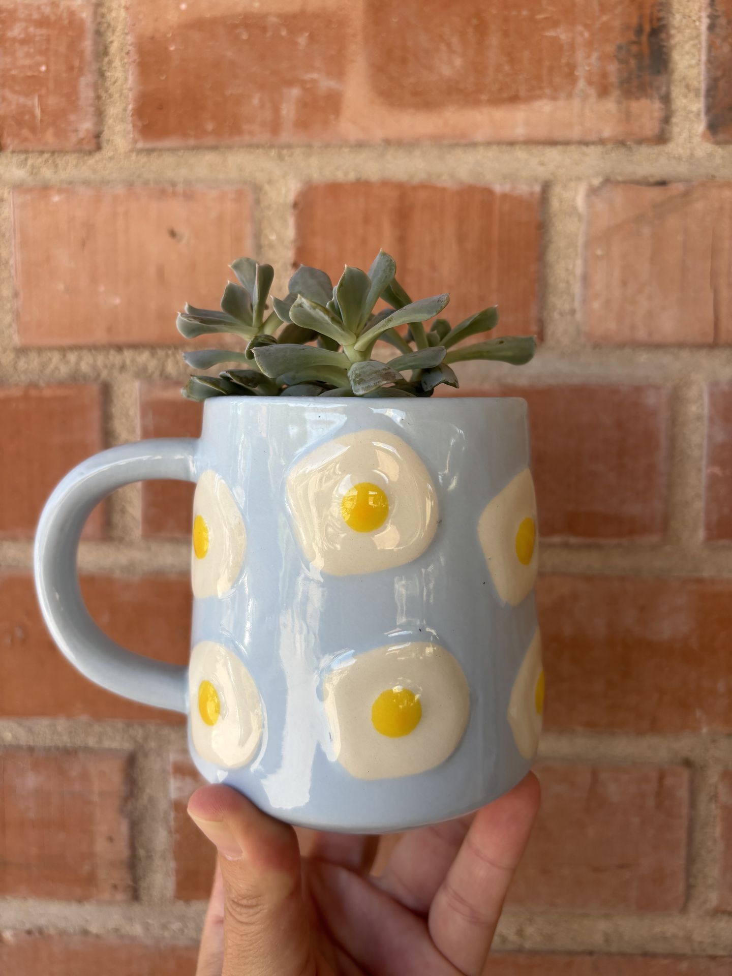 Succulent in Fried Egg Mug Planter
