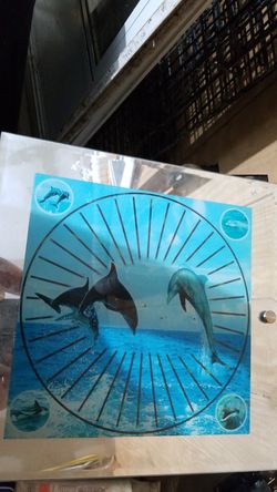 Motion dolphin picture