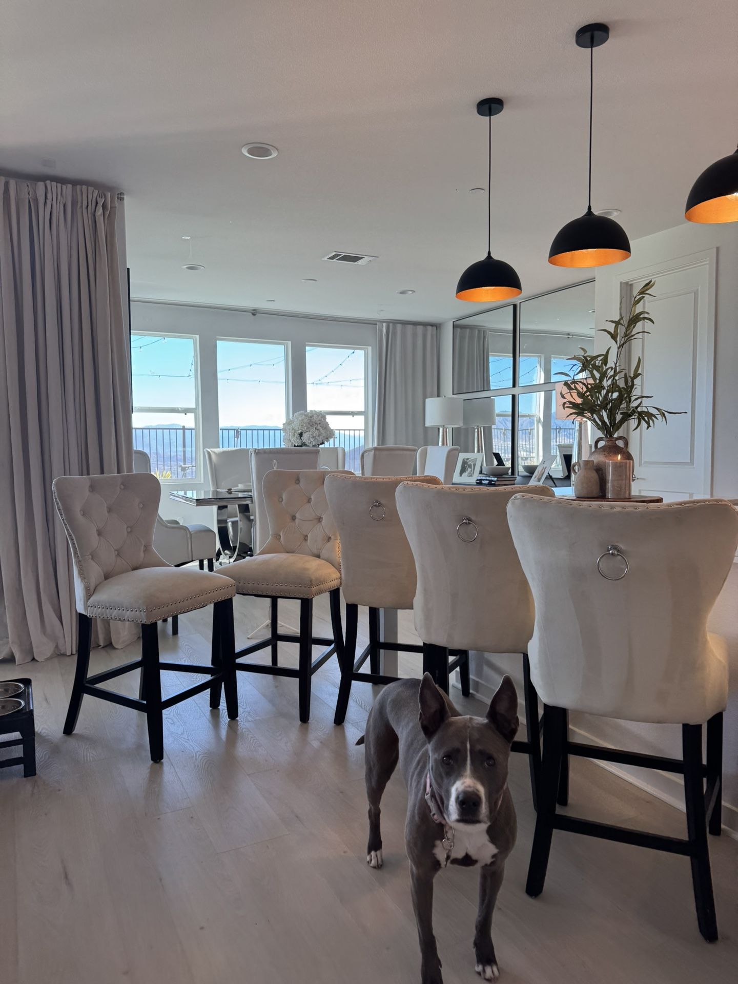 6 kitchen chairs