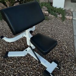 Nautilus Seated Preacher Curl Bench Weight Lifting