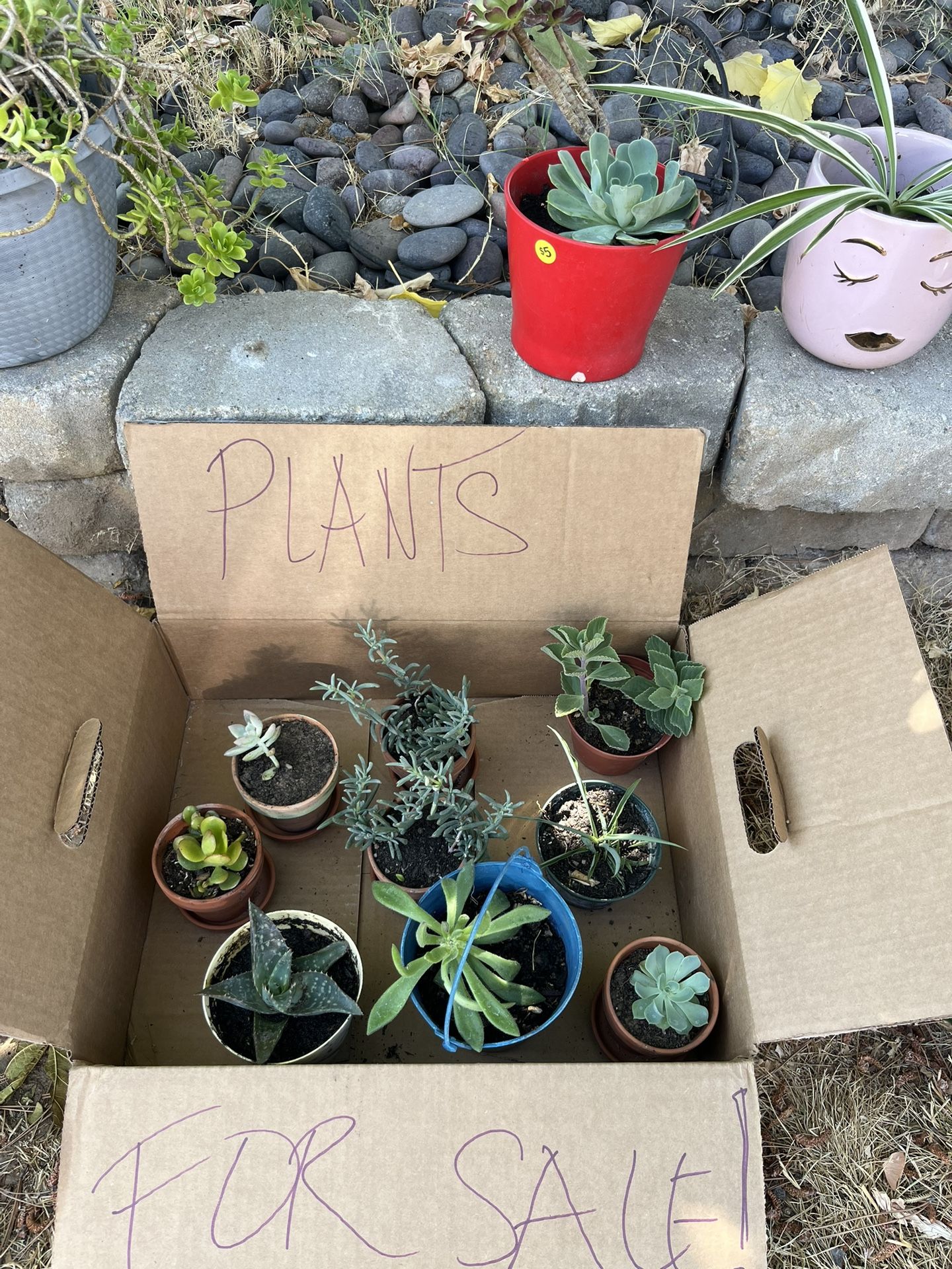 Yard Sale - Pantages Cir. Rancho Cordova 95670