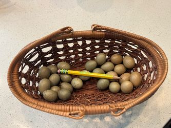 Fresh Button Quail Eggs