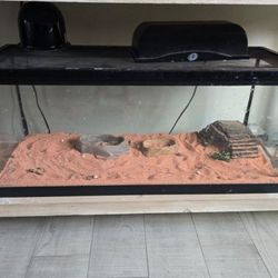 20 Gallon Tank With Feeding Bowls, Lights