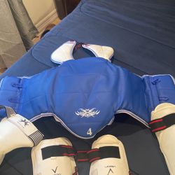 Taekwondo Sparring Gear