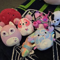 Stuffed Animals 