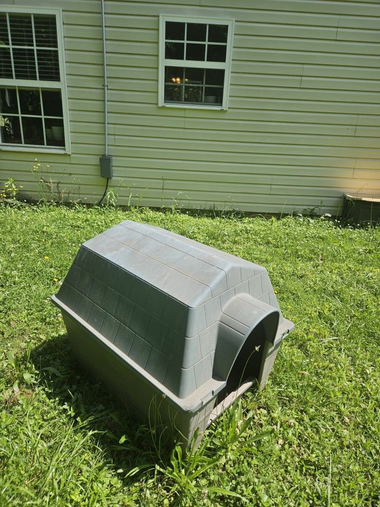 Dog House