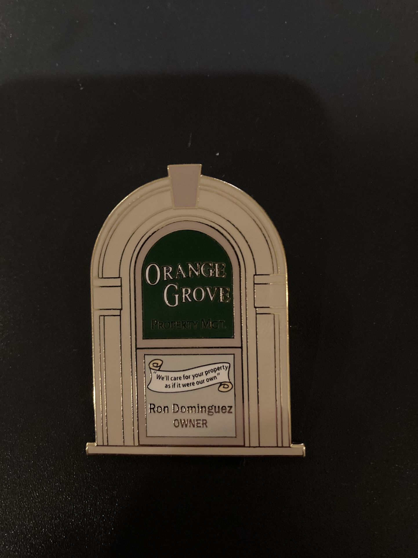 Disney Pin