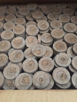 Jiffy peat pellets