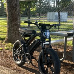 Tamobyke V20