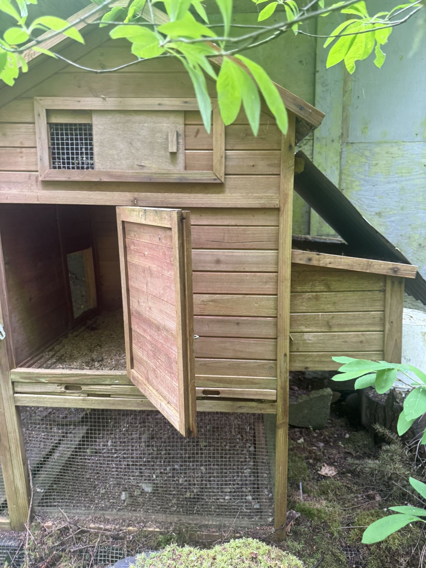 Chicken Coop
