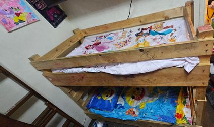 Toddle  bunk bed