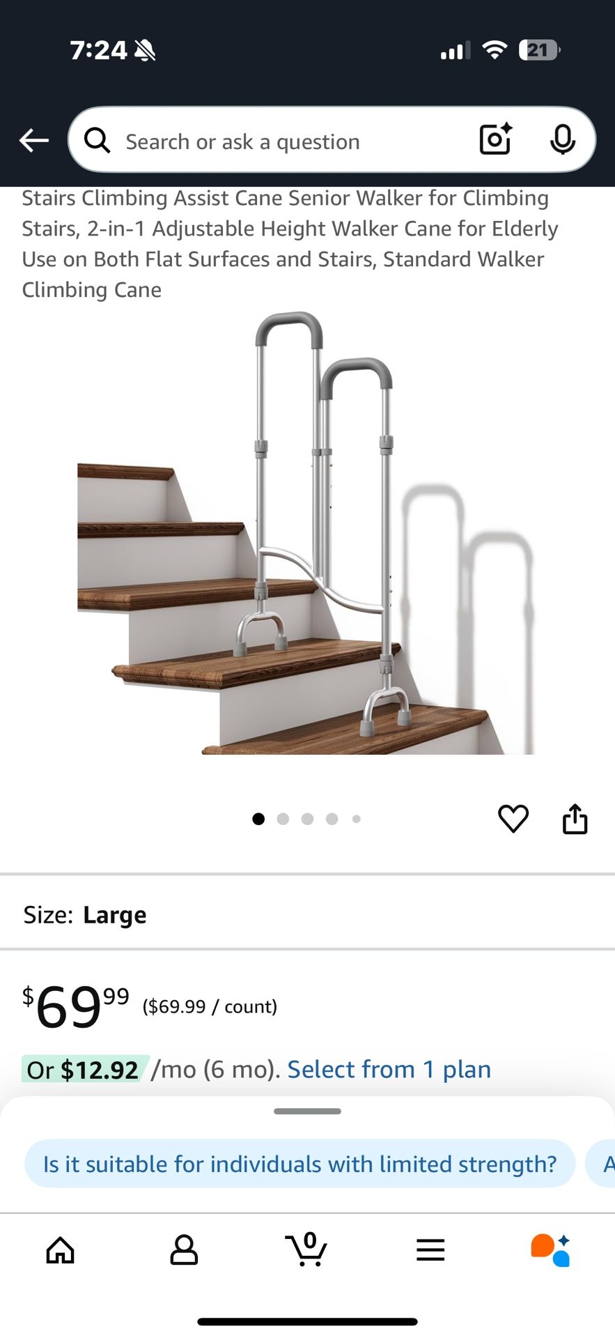 Stair Assist Cane