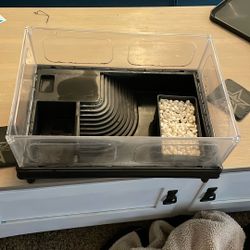 Starter Aquatic Turtle Tank