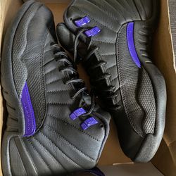 Jordan 12 Dark Concord Size 9.5