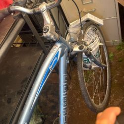 Schwinn Broadway bicycle