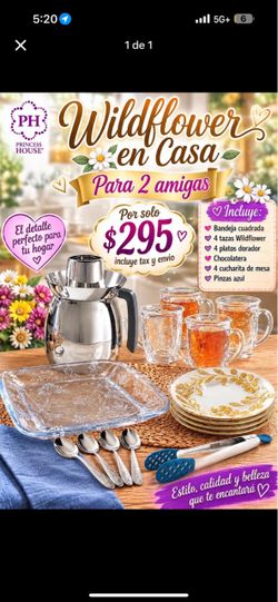 Princess House Wildflower En Casa Set for 2