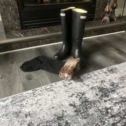 Hunter Black Boots with Leopard Liners