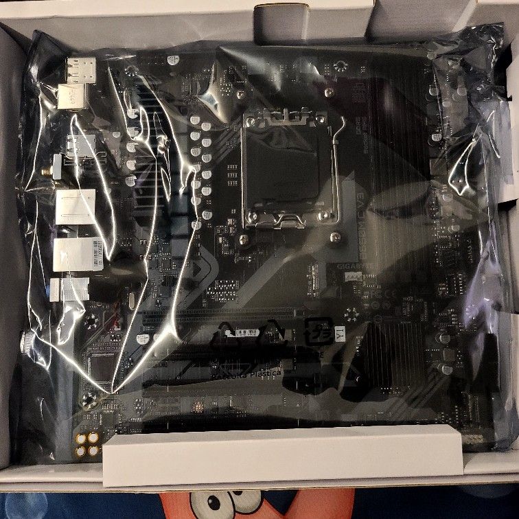 Gigabyte B650m C V3 Motherboard & T-create Ram Sticks