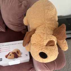 Heartbeat Warming Snuggle Puppy