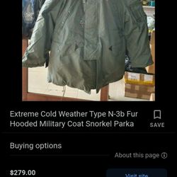 Extreme Cold Weather Green Sage Parka N-3B