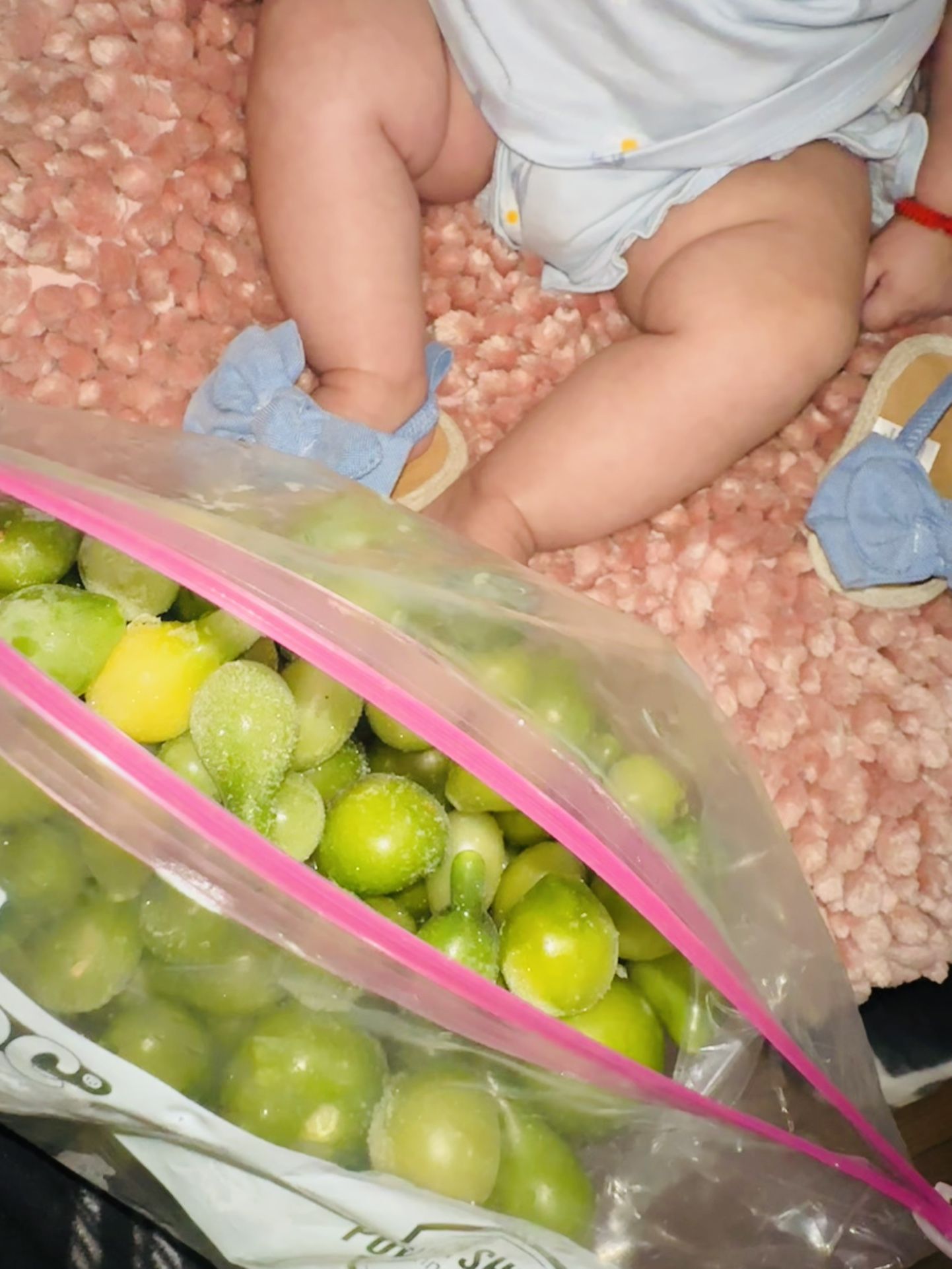 Chilitos, gitomatitos y tomatillo congelados 100% orgánicos de mi cosecha del año pasado