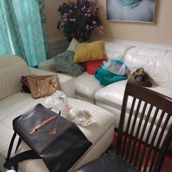 Leather Couches 