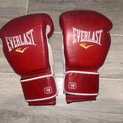Everlast Mx Gloves