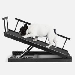Dog Ramp