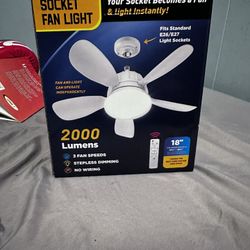 Fan Light