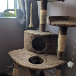 free cat tower