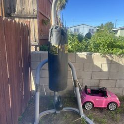 Punching Bag With Stand 