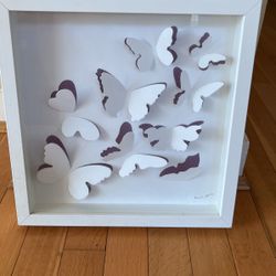 Framed Butterflies 