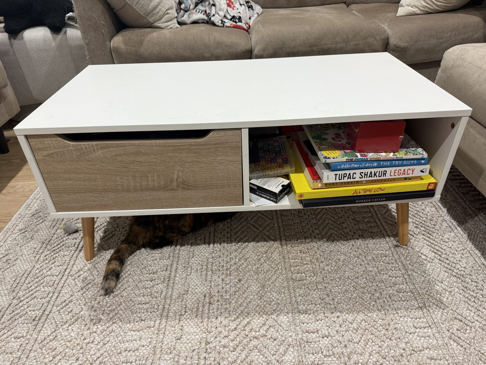 Mid Century Modern Coffee table With Storage